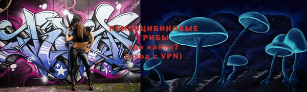 СК Абинск