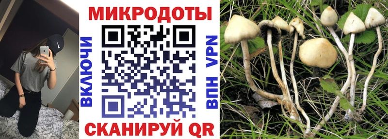 MEGA зеркало  Нальчик  Галлюциногенные грибы Cubensis 