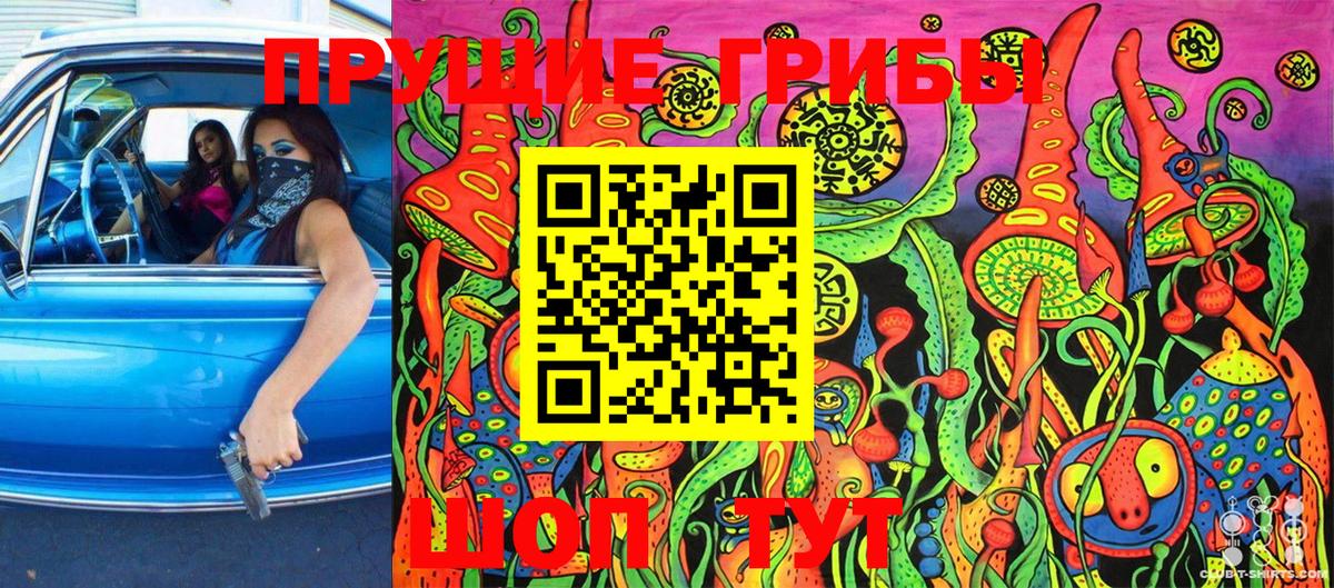 Нальчик  Галлюциногенные грибы мицелий  Псилоцибиновые грибы Magic Shrooms  Вход с VPN 