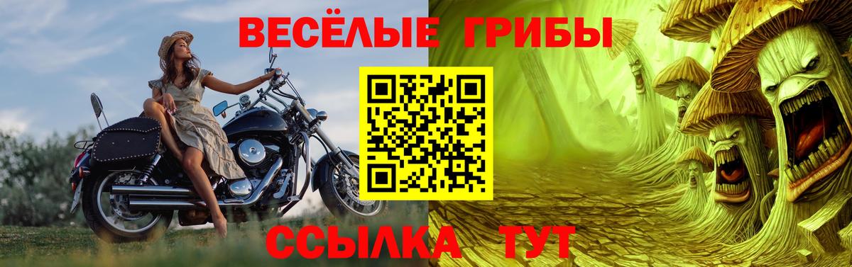 Галлюциногенные грибы MAGIC MUSHROOMS Нальчик